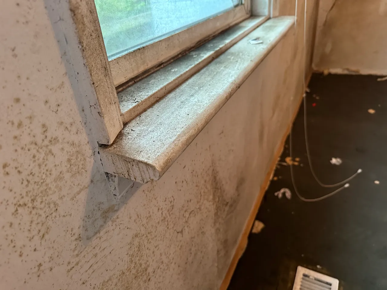Mould removal and wall treatment